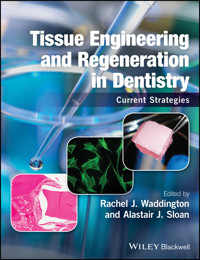 Tissue Engineering and Regeneration in Dentistry -  - E-Book