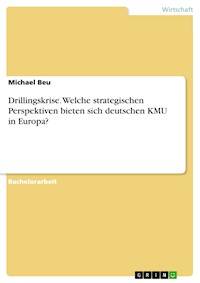 Drillingskrise. Welche strategischen Perspektiven bieten sich deutschen KMU in Europa? - Michael Beu - E-Book