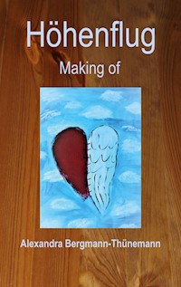 Höhenflug - Alexandra Bergmann-Thünemann - E-Book