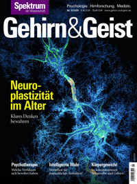 Gehirn&Geist 5/2025 Neuroplastizität im Alter -  - E-Book