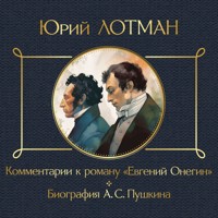 Комментарии к роману «Евгений Онегин». Биография А. С. Пушкина - Юрий Лотман - Hörbuch