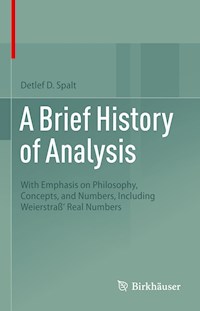 A Brief History of Analysis - Detlef D. Spalt - E-Book