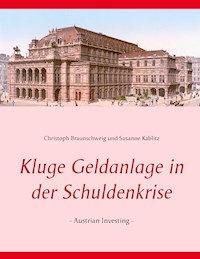 Kluge Geldanlage in der Schuldenkrise - Christoph Braunschweig - E-Book