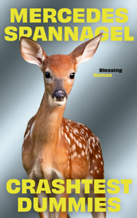 Crashtest Dummies - Mercedes Spannagel - E-Book