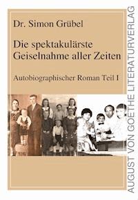 Ein schizophrenes Gesundheitswesen ist unheilbar - Simon Grübel - E-Book