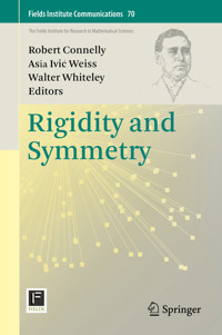 Rigidity and Symmetry -  - E-Book