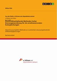 Positivitätserhaltende Methoden hoher Konvergenzordnung für die eindimensionalen Eulergleichungen - Niklas  Götz - E-Book