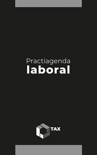 Practiagenda Laboral 2025 - José Pérez Chávez - E-Book