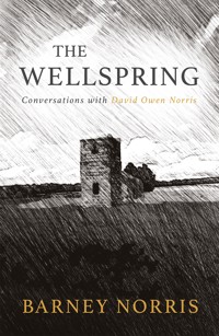 The Wellspring - Barney Norris - E-Book