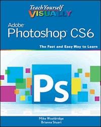 Teach Yourself VISUALLY Adobe Photoshop CS6 - Mike Wooldridge - E-Book