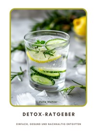 Detox-Ratgeber - Felix Mahler - E-Book