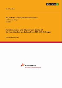 Funktionsweise und Abwehr von Denial of Service-Attacken am Beispiel von TCP-SYN-Anfragen - David Lindner - E-Book
