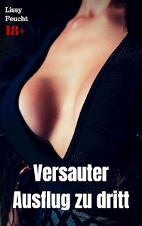 Versauter Ausflug zu dritt - Lissy Feucht - E-Book