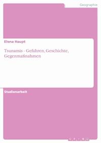 Tsunamis - Gefahren, Geschichte, Gegenmaßnahmen - Elena Haupt - E-Book
