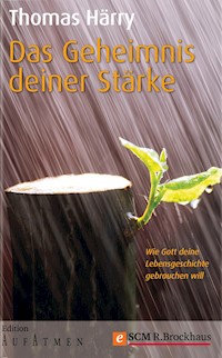 Das Geheimnis deiner Stärke - Thomas Härry - E-Book