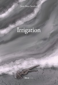 Irrigation - Jean-Marc Strubin - E-Book