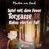 Spiel mit dem Feuer. Torgasse 12 - Kukus vierter Fall - Martin Von Aesch - Hörbuch