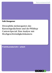 Drosophila melanogaster, das Kurzzeitgedächtnis und der Wildtyp Canton-Special. Eine Analyse mit Hochgeschwindigkeitskamera - Falk Deegener - E-Book
