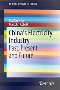 China’s Electricity Industry - Ma Xiaoying - E-Book