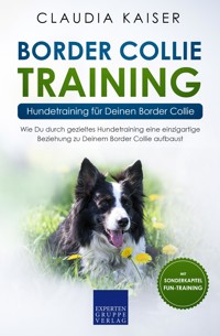 Border Collie Training – Hundetraining für Deinen Border Collie - Claudia Kaiser - E-Book