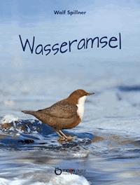 Wasseramsel - Wolf Spillner - E-Book