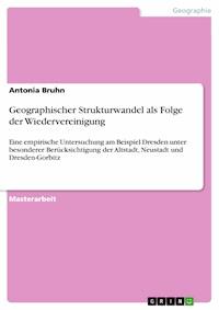 Geographischer Strukturwandel als Folge der Wiedervereinigung - Antonia Bruhn - E-Book