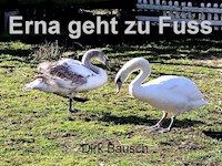 Erna geht zu Fuss - Dirk Bausch - E-Book