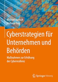 Cyberstrategien für Unternehmen und Behörden - Michael Bartsch - E-Book