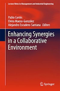Enhancing Synergies in a Collaborative Environment -  - E-Book
