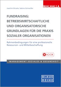 Fundraising: Betriebswirtschaftliche und organisatorische Grundlagen für die Praxis sozialer Organisationen - Joachim Birzele - E-Book