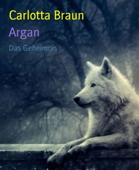 Argan - Carlotta Braun - E-Book