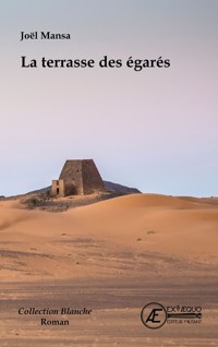 La terrasse des égarés - Joel Mansa - E-Book