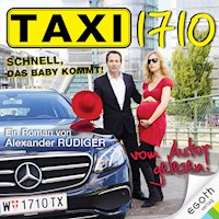 Taxi 1710 - Alexander Rüdiger - Hörbuch