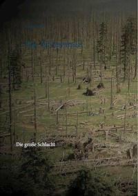 Das Tal Irminsul - Martin Welsch - E-Book