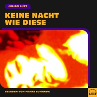 Keine Nacht wie diese - Julian Lutz - Hörbuch