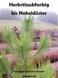 Herbstlaubfarbig bis Nebeldüster - Michael Andreas Engelhardt - E-Book