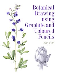 Botanical Drawing Using Graphite and Coloured Pencils - Sue Vize - E-Book