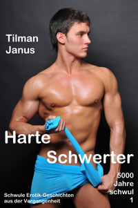 Harte Schwerter - Tilman Janus - E-Book