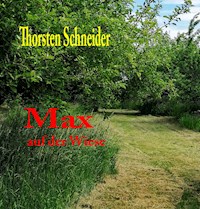 Max auf der Wiese - Thorsten Schneider - E-Book