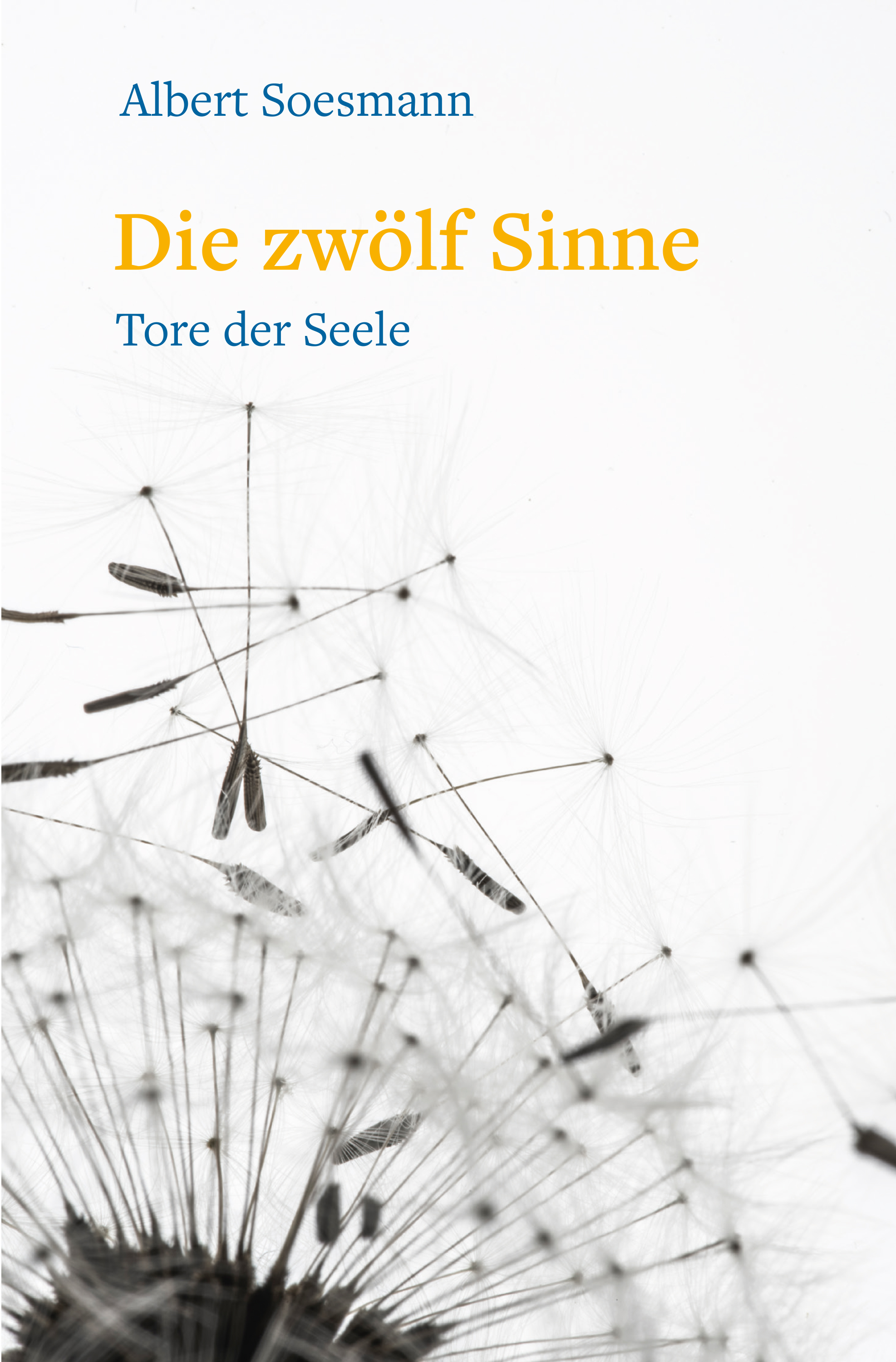 Die zwölf Sinne – Tore der Seele - Albert Soesman - E-Book