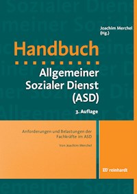 Anforderungen und Belastungen der Fachkräfte im ASD - Joachim Merchel - E-Book