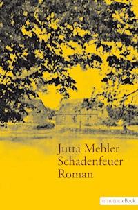 Schadenfeuer - Jutta Mehler - E-Book