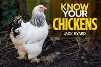 Know Your Chickens - Jack Byard - E-Book