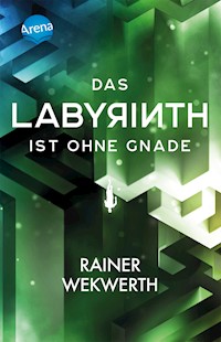 Das Labyrinth (3). Das Labyrinth ist ohne Gnade - Rainer Wekwerth - E-Book