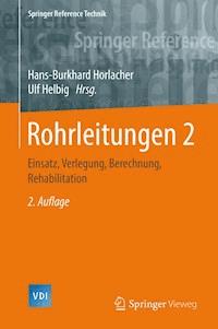 Rohrleitungen 2 -  - E-Book
