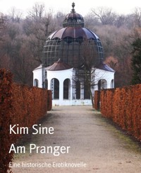Am Pranger - Kim Sine - E-Book