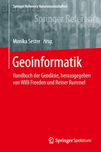 Geoinformatik -  - E-Book