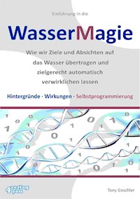 Einführung in die Wassermagie - Tony Gaschler - E-Book