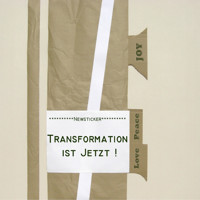 Transformation ist jetzt! Ein Buch wie ein Portal: für alle, die sich dem Leben mit offenem Herzen und wachem Geist stellen. - Petra Schmiedecke - E-Book