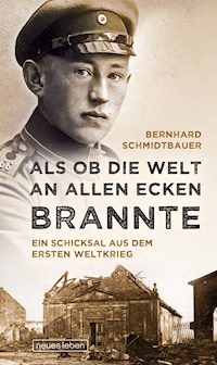 Als ob die Welt an allen Ecken brannte - Bernhard Schmidtbauer - E-Book